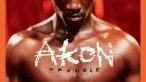 Akon - Trouble (20th Anniversary Edition)